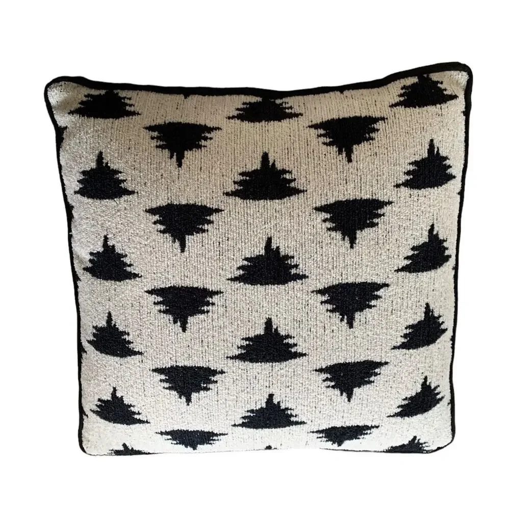 Accent Pillow 2 Velour Square 19